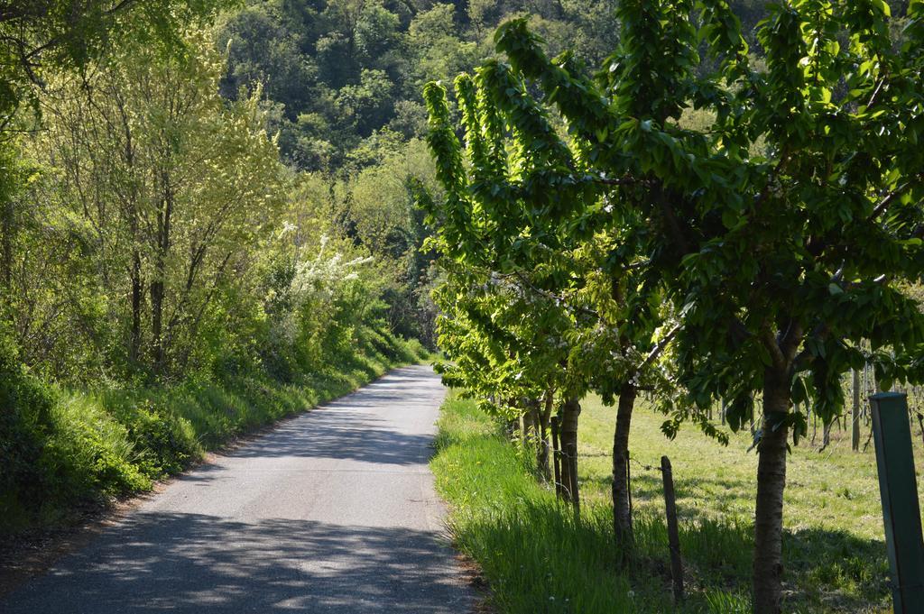 Mezzane di Sotto Agriturismo Borgo Valfreddaヴィラ エクステリア 写真